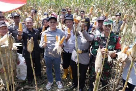 Daerah