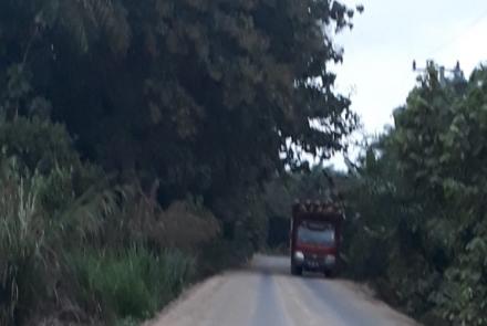 Pelayanan 