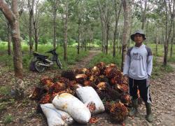Ragam