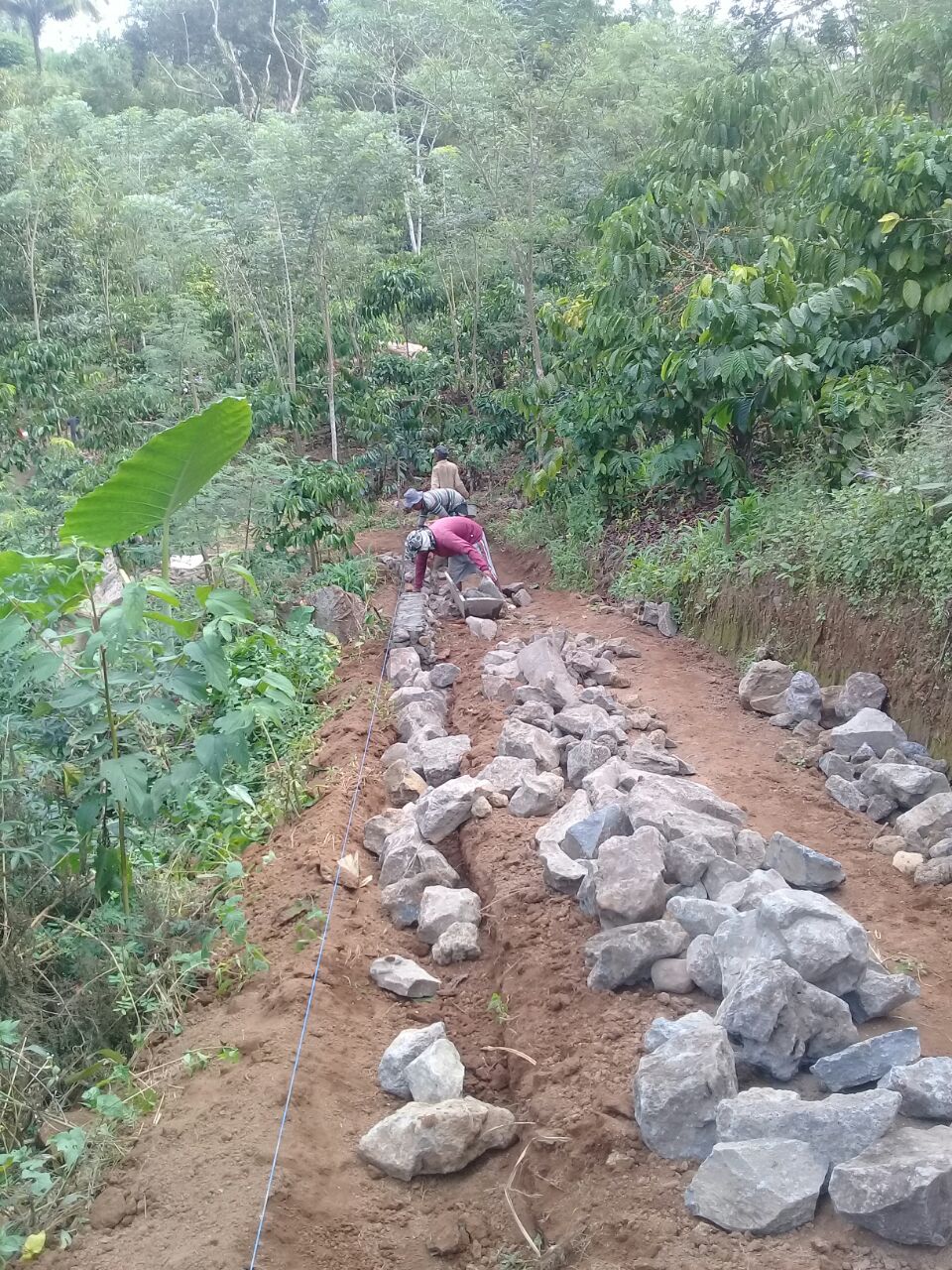 daerah