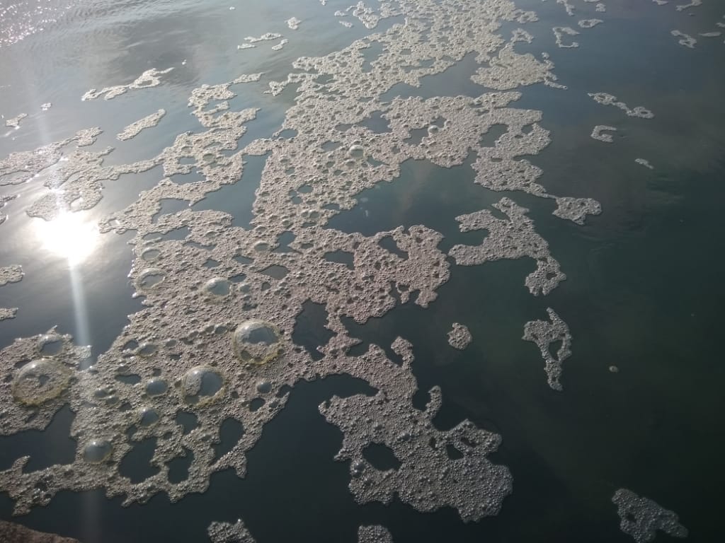 Lingkungan 