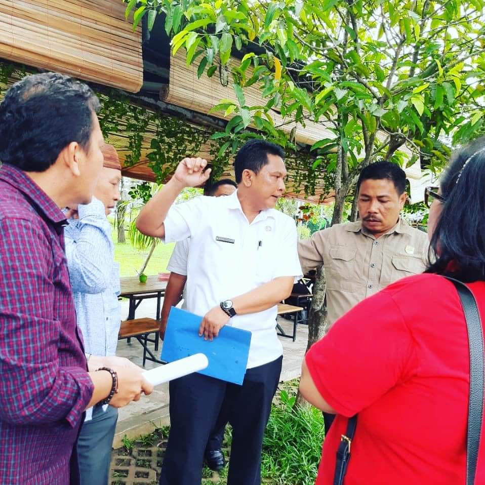 Advertorial