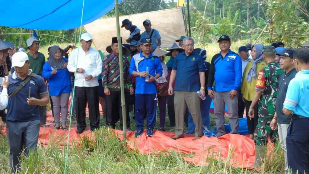 Hadiri Panen Raya Musim Tanam Kedua, Bupati Kopli Minta OPD Naikkan Jumlah Produksi