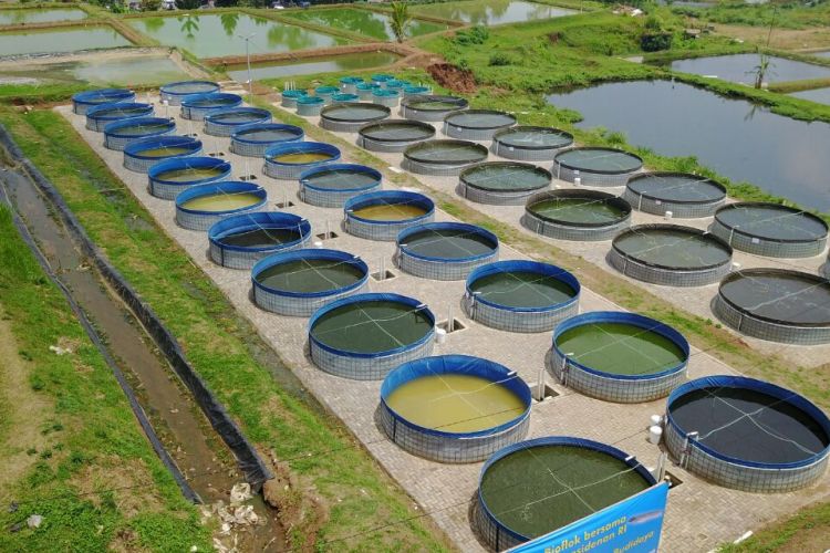 Tingkatkan Pengembangan Bioflok, Komisi II DPRD Kunjungan Kerja Di Pagar Alam
