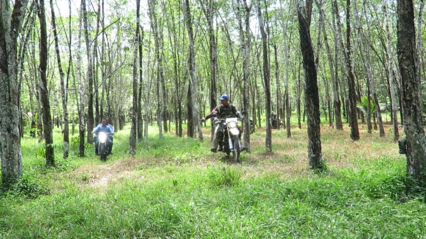 Lokasi yang akan menjadi jalur pembuatan badan jalan