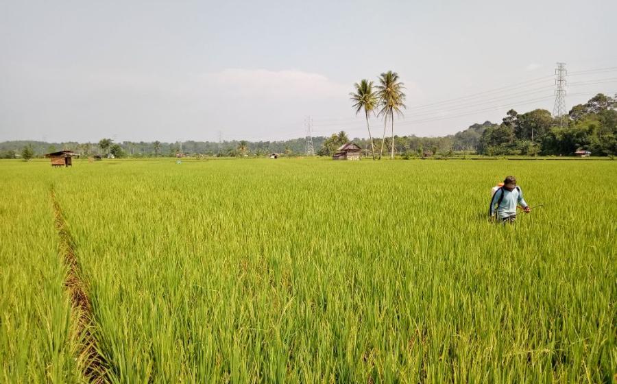 daerah