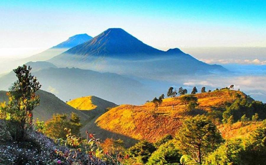 wisata