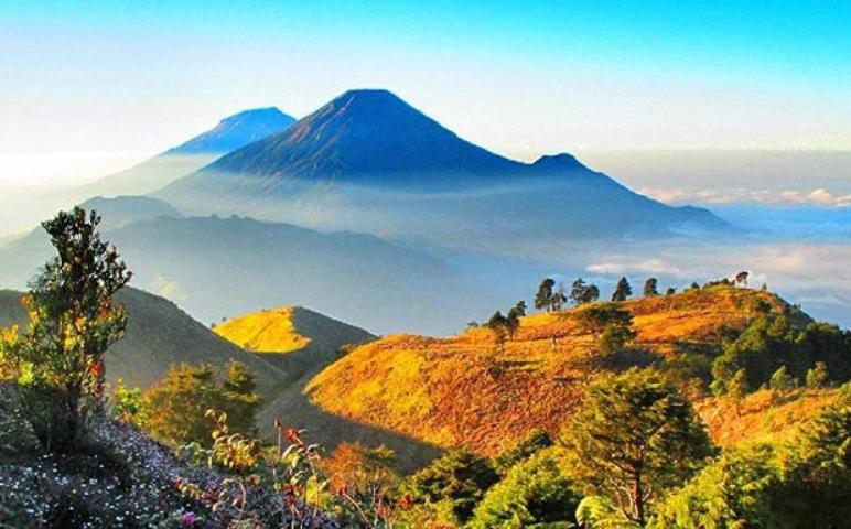 wisata