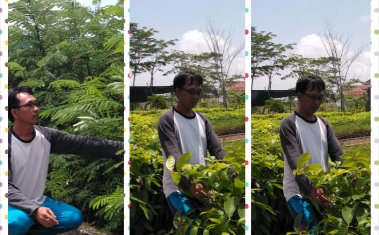 Daerah 