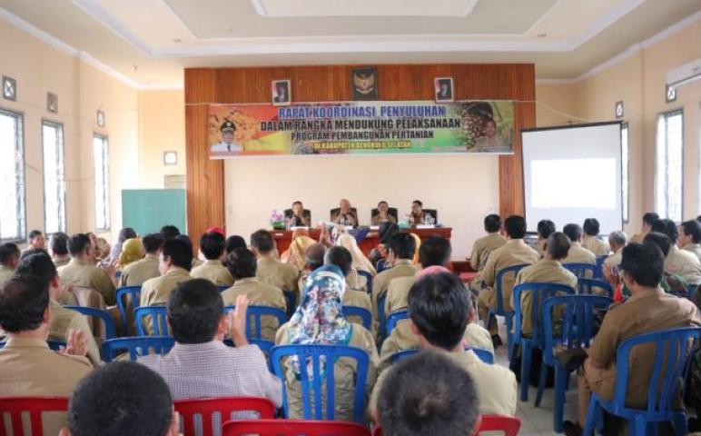 Daerah