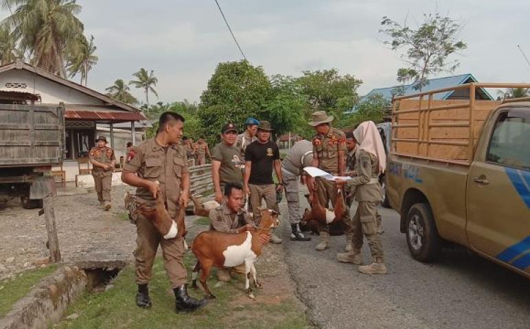 Daerah    