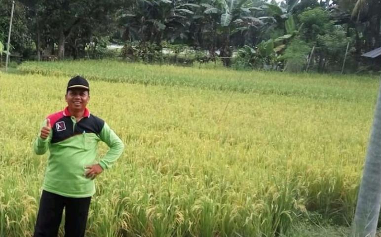 Daerah    