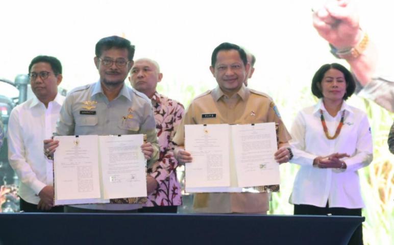 Nasional