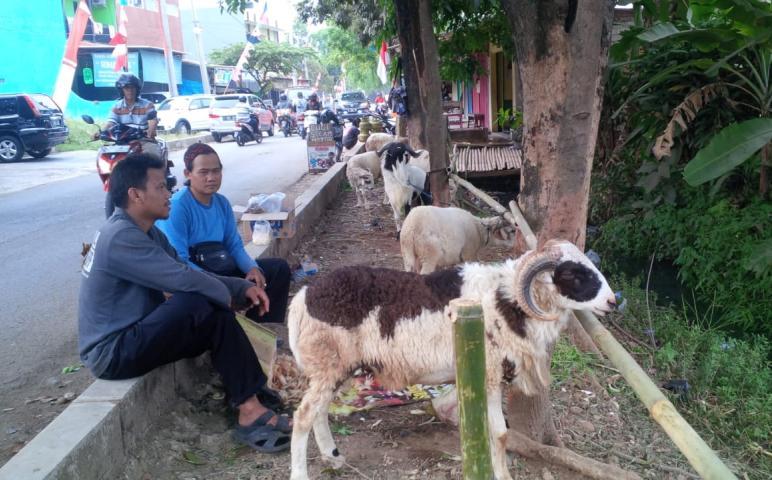Nasional