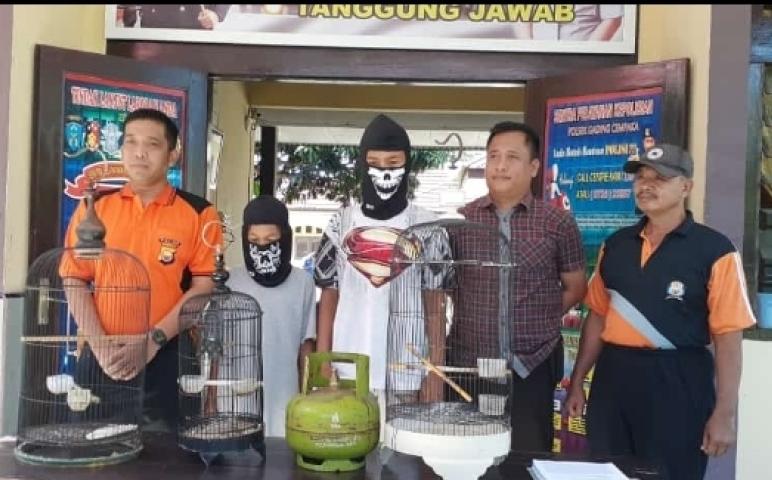 2 terduga pelaku kasus pencurian hewan burung Love Bird