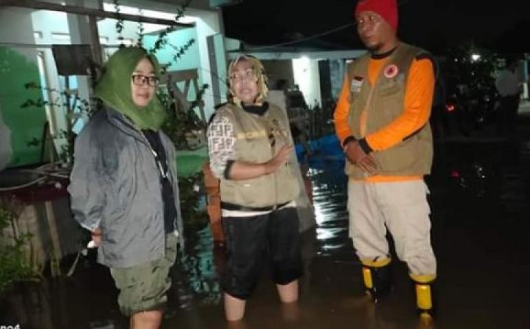 Pemkot bengkulu