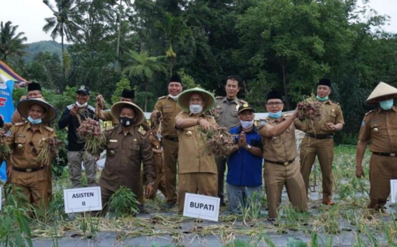 Daerah