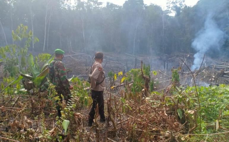 .