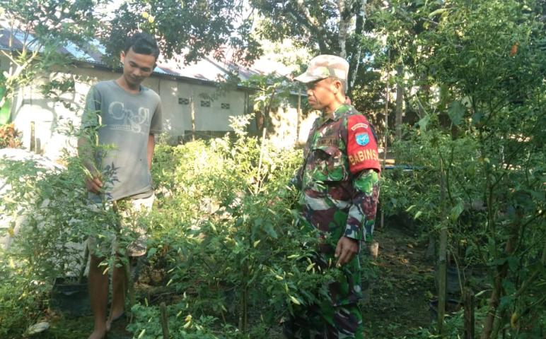 Nasional
