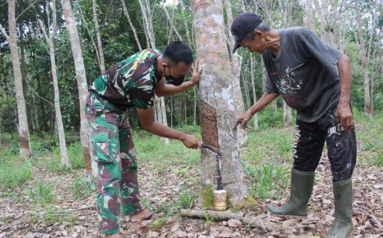Personel TMMD Belajar Nyadap Karet di Desa Kampuri