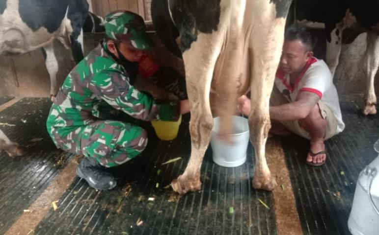Foto Dok 
