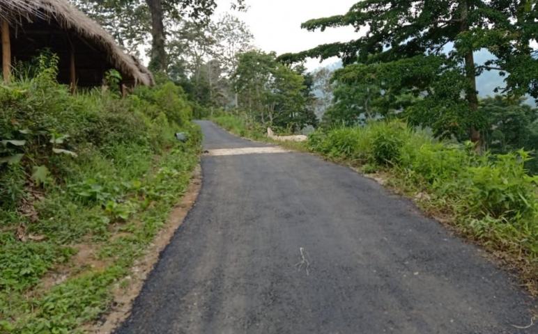 Jalan Aspal Harapan Warga Tulungrejo