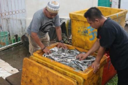 pemkot bengkulu