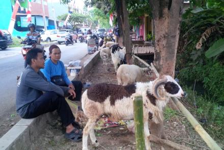 Nasional