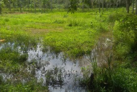 Daerah