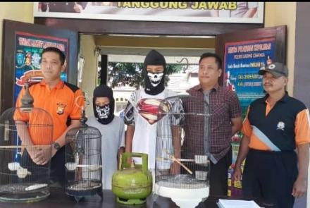 2 terduga pelaku kasus pencurian hewan burung Love Bird