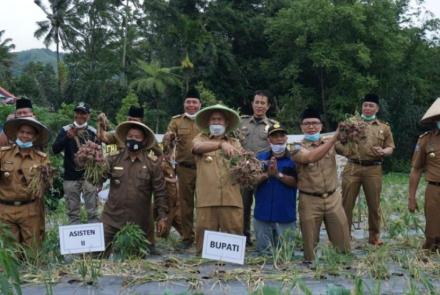 Daerah