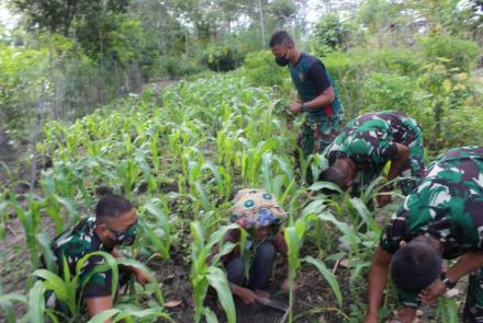 Satgas TMMD Bantu Lansia Bersihkan Kebun Jagung