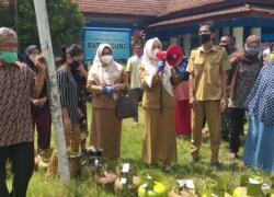 Pemkot Bengkulu